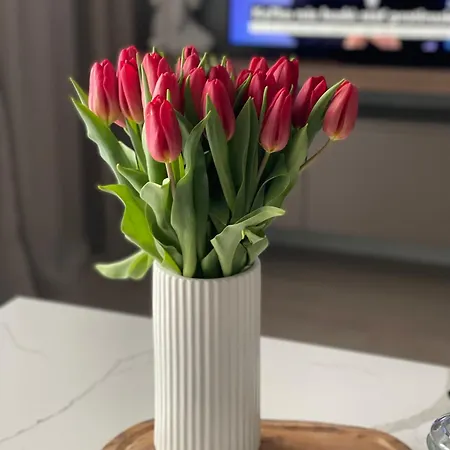 Appartement Harley Quinn *