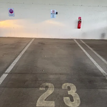 Harley Quinn * פופראד